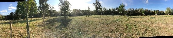 Terrain de l'association Racynes